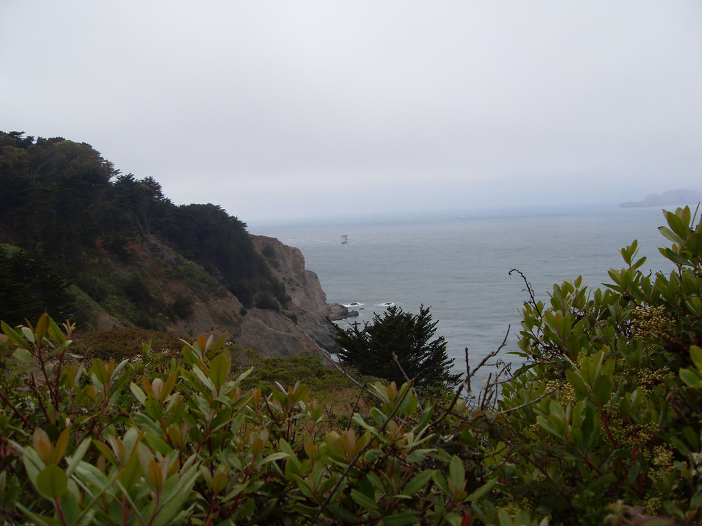 View of SF Bay