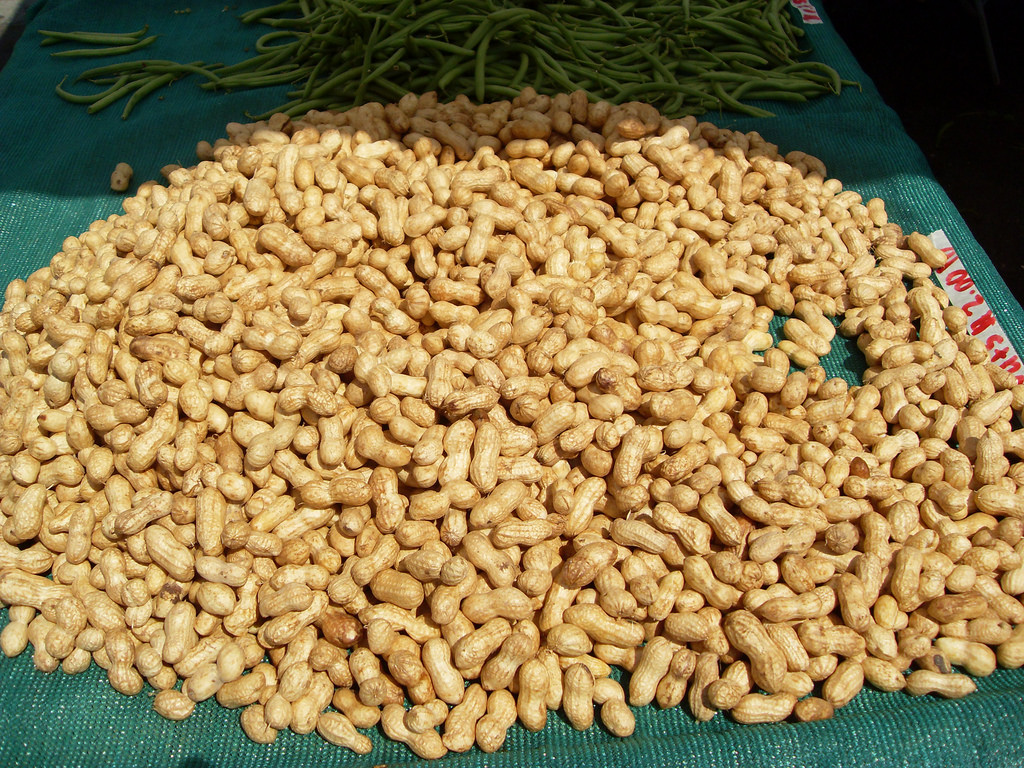 peanuts in shell