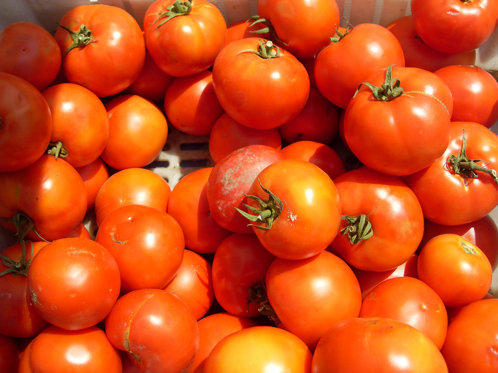 tomatoes
