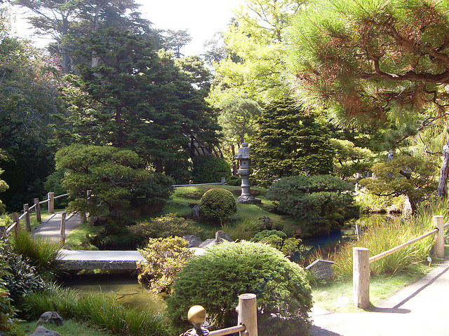 Japanese Tea Garden, Flowers and Leaves in San Francisco (Sundays In My City)