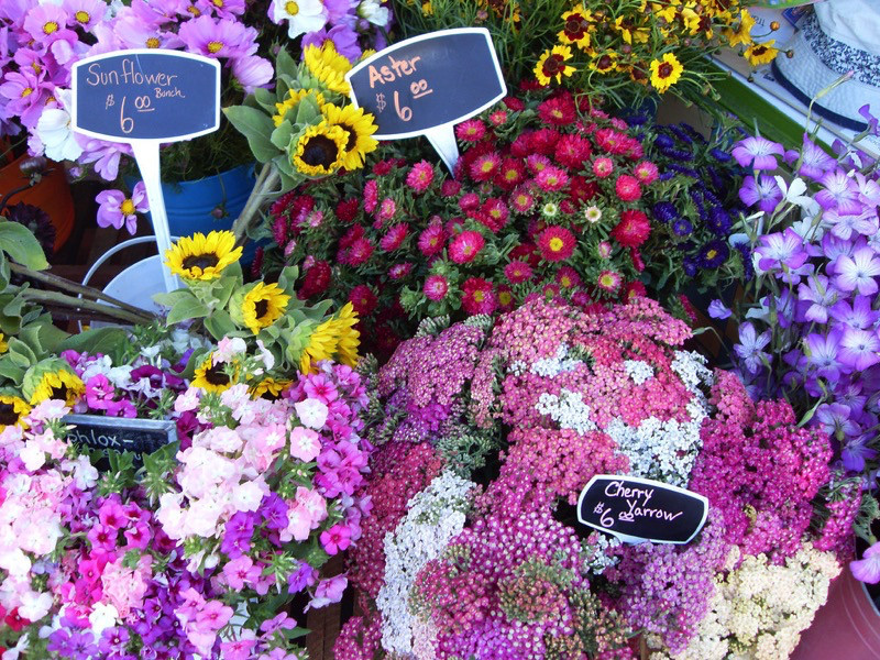 Sunflowers, aster, and cherry yarrow