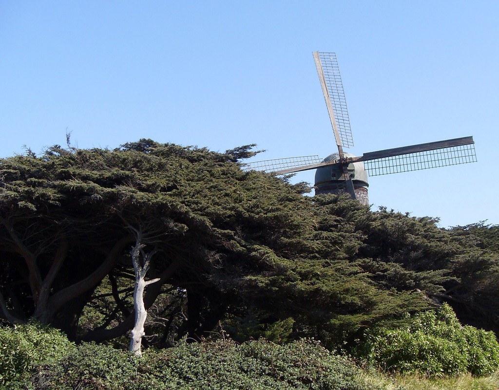 Windmill in San Francisco