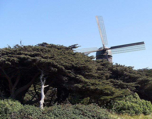 Windmill in San Francisco