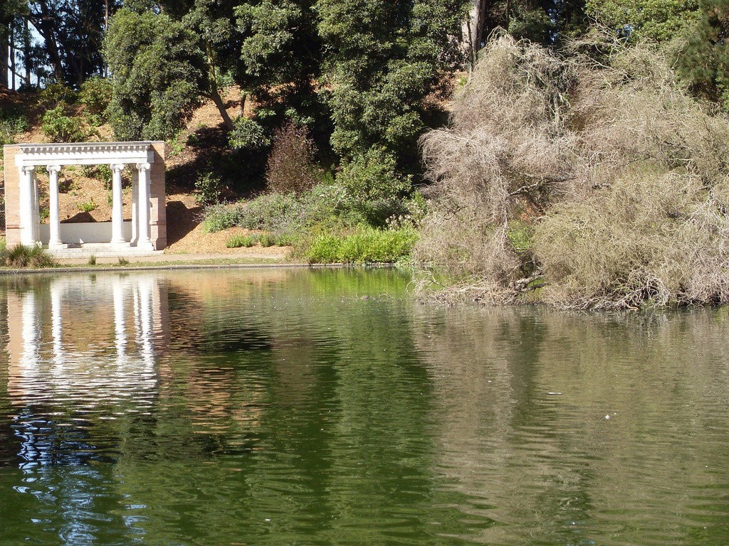 Lloyd Lake in Golden Gate Park, San Francisco