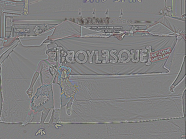 SD Boylesque