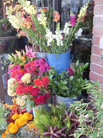 Random Flowers in San Francisco (Sundays In My City)