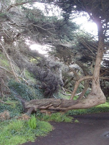 Lands End