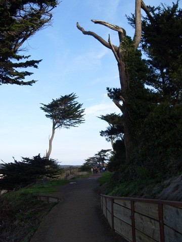 Hiking in Lands End San Francisco