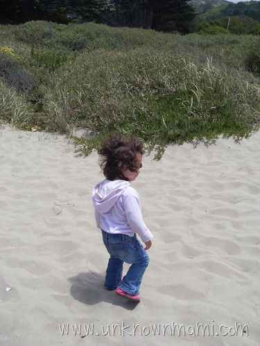 Sand on Stinson Beach