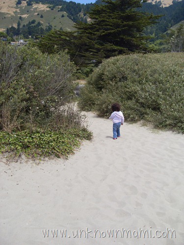 Stinson Beach