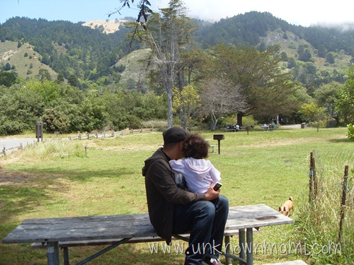 Table area at Stinson Beach
