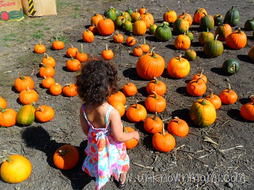 Little girl with curly hair