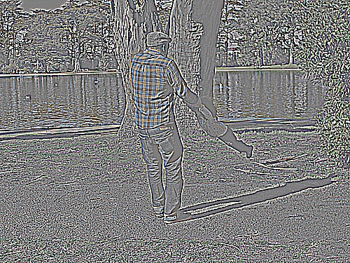 Father swinging child