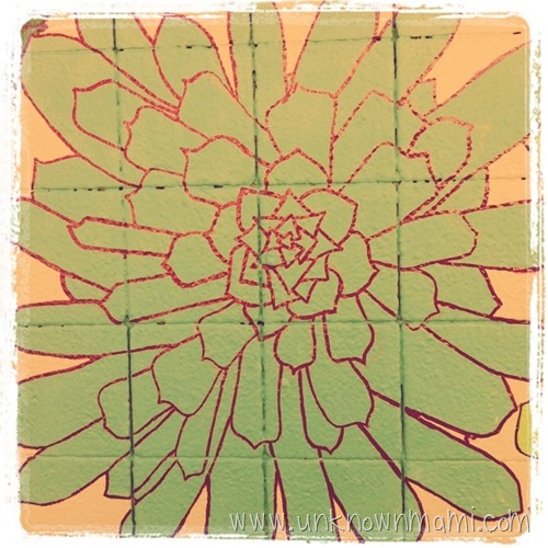 Flower on a wall