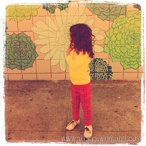My flower