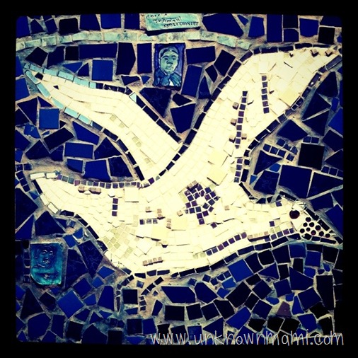 bird