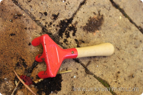 Small rake