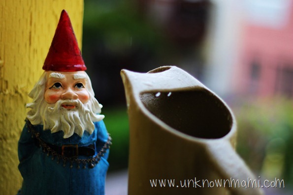 Gnome in Rain