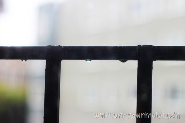 Rain drops on bars