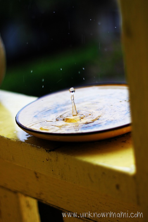 Rain in plate