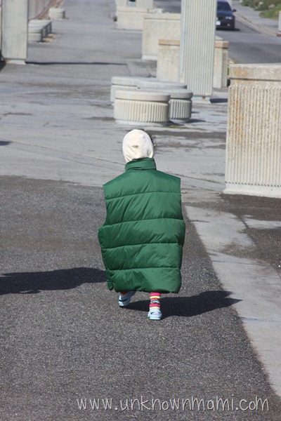 Puffy-vest