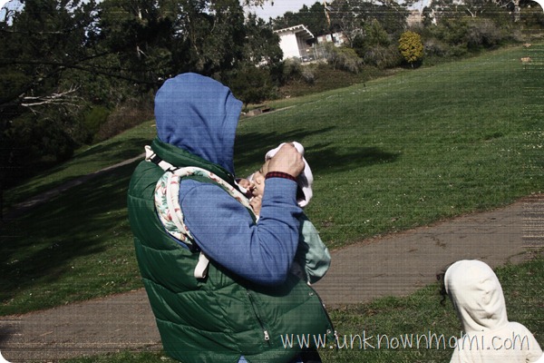 In-the-park