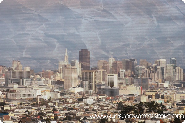 View-of-San-Francisco-near-Sutro-Tower