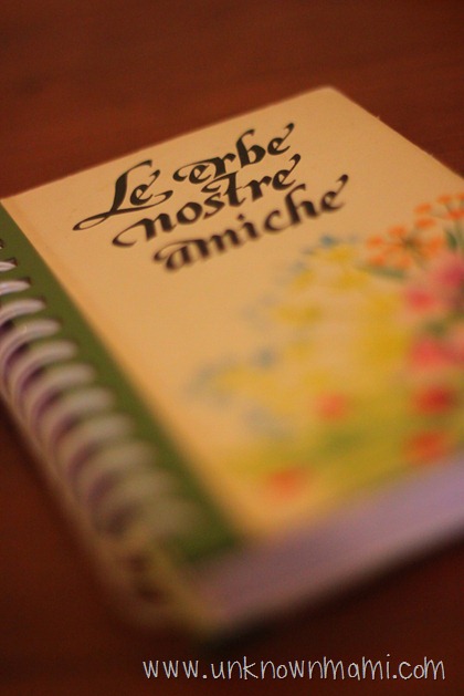 Journal