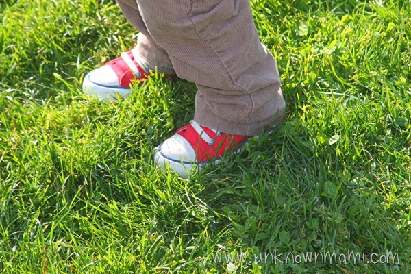 Small red Converse in grass