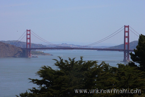 View of Golden Gate Bridge