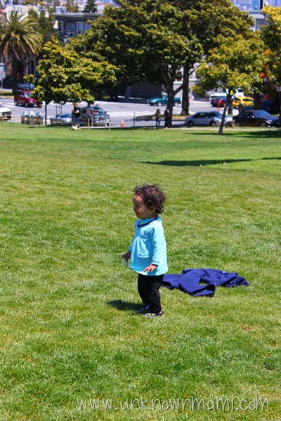 Dolores Park Lawn
