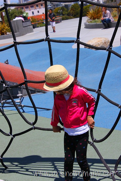 Dolores Park Web