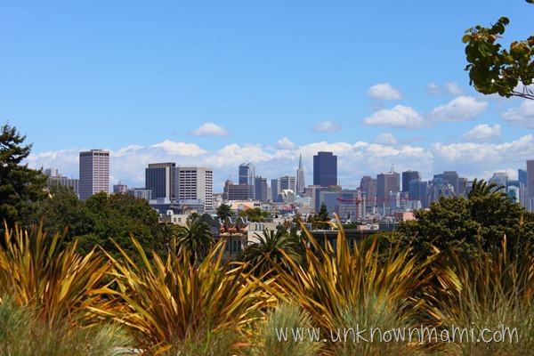 View from Dolores Park
