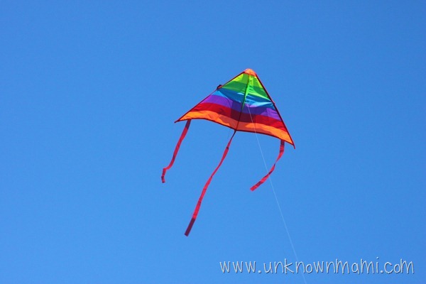 Perfect Day to Fly a Kite
