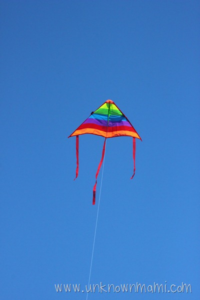 Rainbow Kite in a Blue Sky