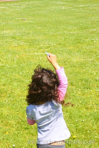 Flying a Kite on a Sunny Day