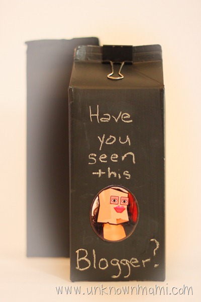 Milk-Carton-Craft