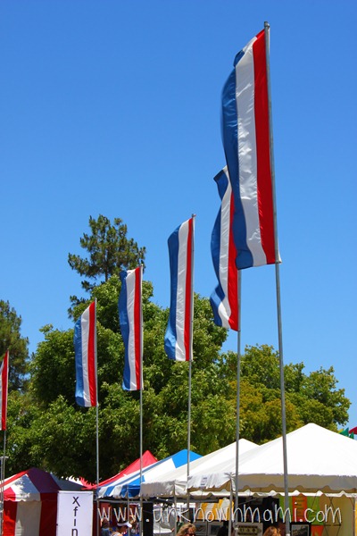 Fair Flags