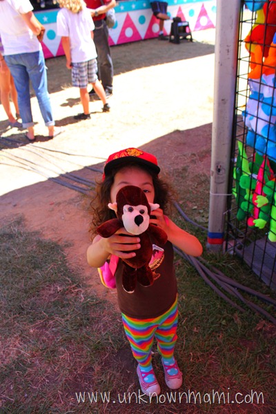 Marin County Fair Picture