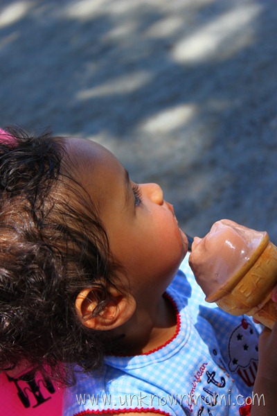 Ice Cream Cone at Marin County Fair