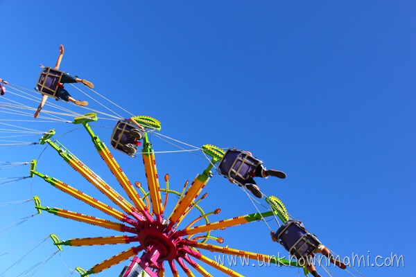 Carnival ride