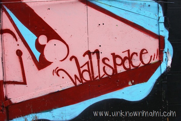 Wallspace SF picture