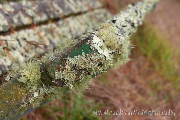 An old bench