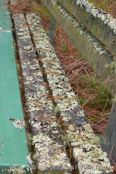 Old park bench