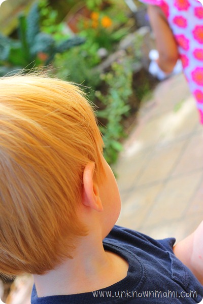 Red hair on boy