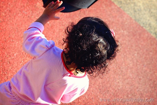 Alamo-Square-Playground