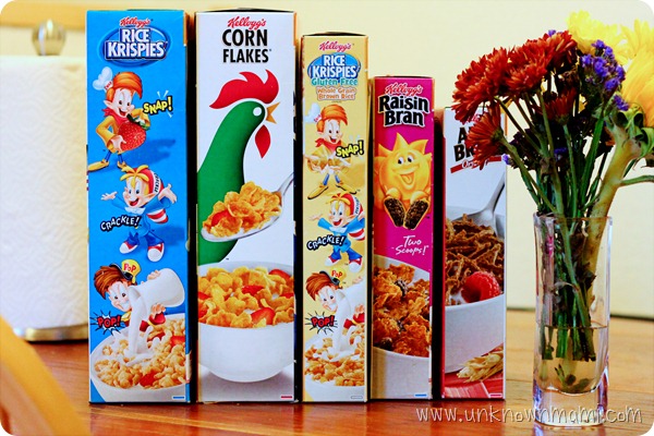 Breakfast cereals