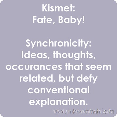Definition-of-Kismet-and-Synchronicity