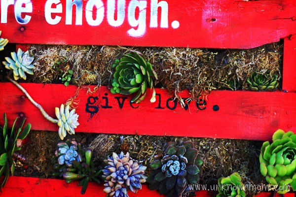 Inspirational pallet garden