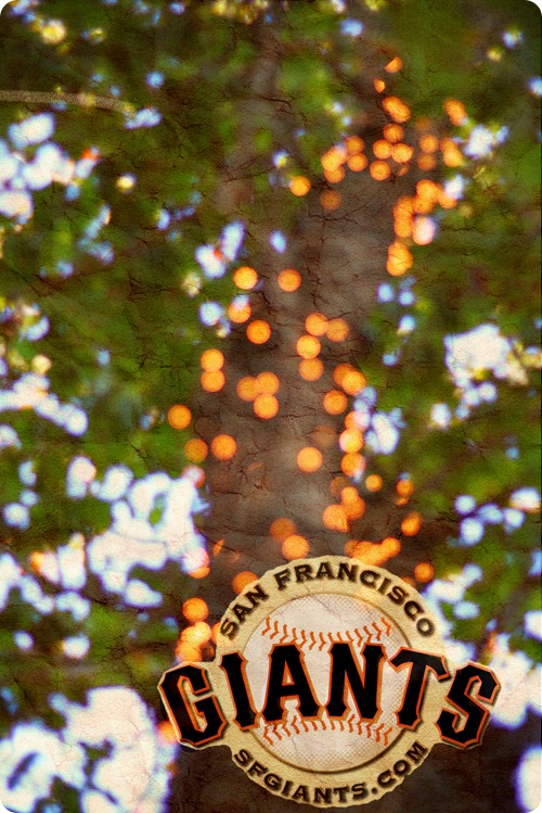 World Series 2012